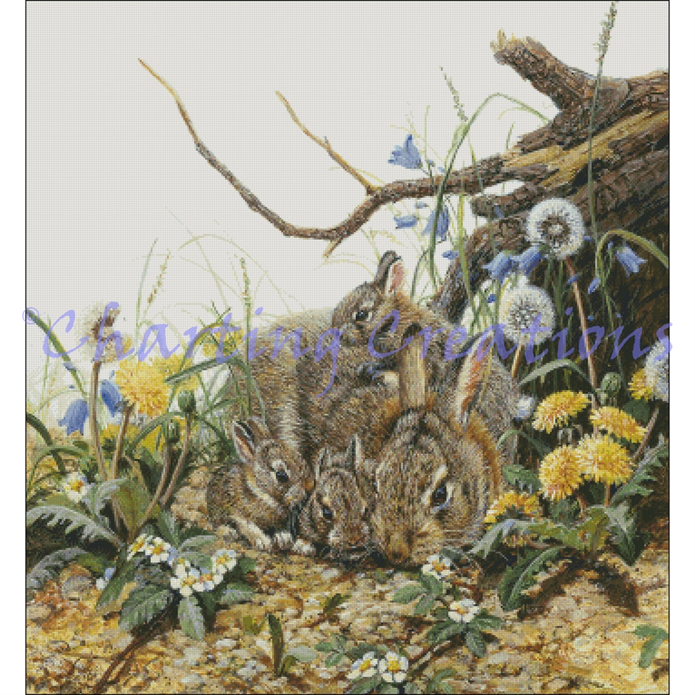 (image for) Cottontail Family